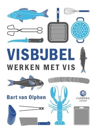 Cover of Visbijbel werken met vis